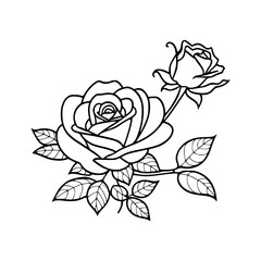 Elegant Rose Floral Illustration - Black & White