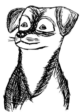 sketch of dog