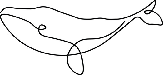 Simple Line Art Whale Illustration Design