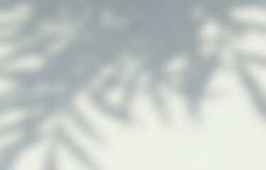 White gray sun shadow of leaves tree plant on white wall. Sunlight shining through window overlay effect shadows