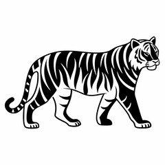Striking Black And White Tiger Illustration Walking With Power And Confidence