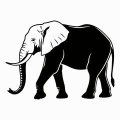 Obraz premium Graphic Vector Illustration Of Walking African Elephant On White Background