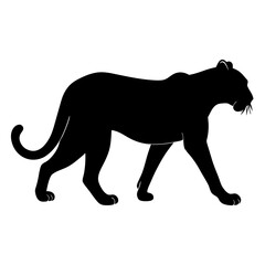Obraz premium Black Panther Silhouette Walking Isolated On White Background Vector Illustration Design
