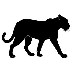 Obraz premium Black Panther Silhouette Vector Walking On White Background Powerful Big Cat Illustration