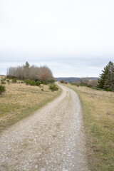 A dirt road with trees in the background