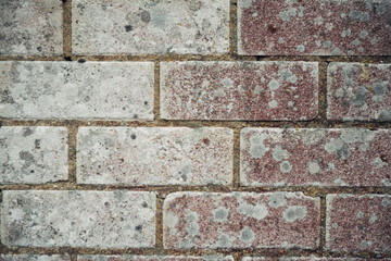 A brick wall with white and red bricks