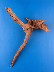 Fototapeta premium Detailed view of rustic driftwood, perfect for aquariums or terrariums no purple background.
