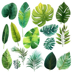 Collecting tropical jungle leaves in lush green environments bold greens and nature's artwork perspective