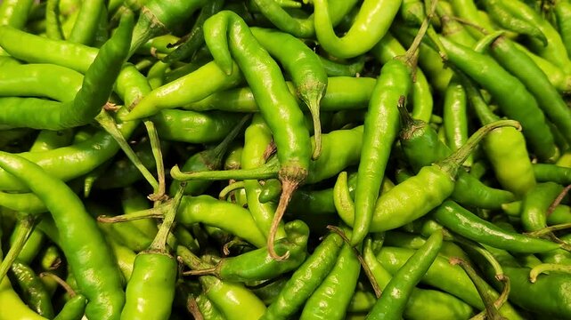 A vibrant collection of fresh green chili peppers, showcasing their glossy texture and natural green color. Perfect for adding a spicy kick to culinary dishes.