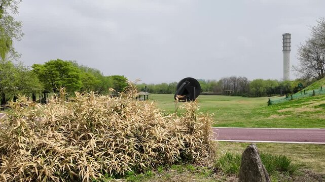서울 상암공원