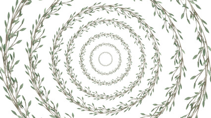 Elegant botanical spiral pattern with delicate green leaf vines radiating from the center on a white background. Natural and serene design. © EfGraphic.