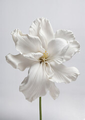 Ornate White Blossom Sculpture: Elegant Floral Art Backdrop