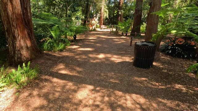 Footage of a dirt footpath in the garden with lush green trees and plants at Descanso Gardens La Ca&ntilde;ada Flintridge California USA