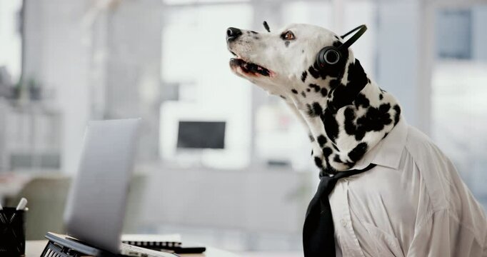 Call center, headset and dog in office with laptop for consulting, questions or animal insurance or cover. Telecom, agent or Dalmatian puppy online with pc for customer support, help desk or pet care