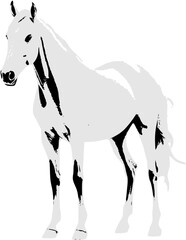 A timeless silhouette: The graceful form of a horse in black and white, embodying elegance and freedom.