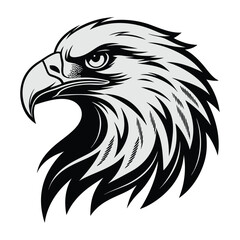 Obraz premium Majestic Eagle Head Illustration – Monochromatic Design for Bold Branding and Wildlife Art