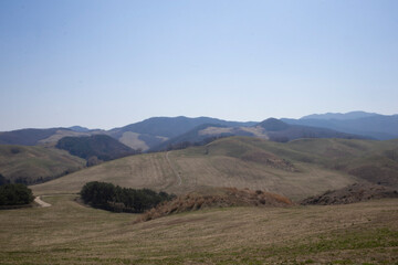 It's a spring hill where new shoots are just beginning to bloom.새순이 막 피어나는 봄의 언덕입니다.