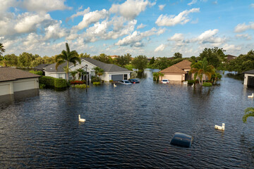 Hurricane flooded cars and homes in residential community in Florida, USA. Aftermath of natural disaster