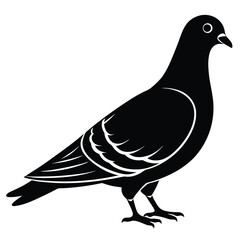 Black and White Pigeon Illustration: Vector Graphic of a Common City Bird, Simple Bird Drawing, Wildlife Art, Bird Icon, Dove Clipart