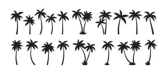  Silhouette of palm tree set vector illustration isolated on white background. © design box