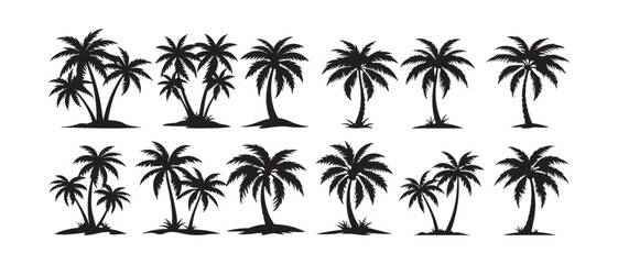  Silhouette of palm tree set vector illustration isolated on white background.