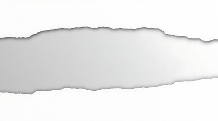 Ripped Paper Texture