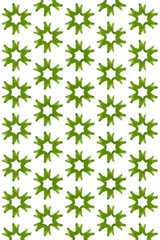 Green retro dry flower pattern on white color