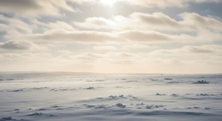 Whispers of the Frozen Sun AI Generated