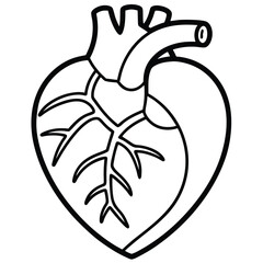 Human Heart Line Art Vector Illustration

