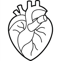 Human Heart Line Art Vector Illustration

