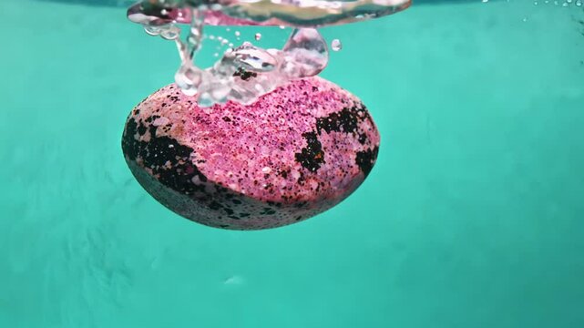 Super slow motion video of a pink rhodonite stone falling into water, isolated on a teal background, filmed on a high-speed cinema camera with natural light