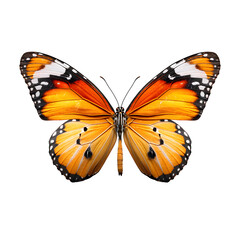 Fototapeta premium Butterfly wings spread open isolated on transparent background