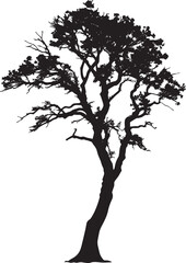 Obraz premium Oak Tree Silhouette - Majestic Ancient Tree Outline, Strong Botanical Clipart, Nature Vector Art, Woodland Landscape Graphic