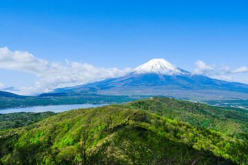 春の富士山