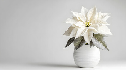 Minimalist Christmas，christmas, decoration, christmas tree,holiday, xmas,winter, decorations, celebration, presents,gift, Santa Claus，ornaments，new year，december，seasonal，gift