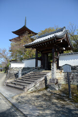 Fototapeta premium 三明院 山門と多宝塔 京都市左京区上高野