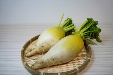 朝採れのあじまるみ大根