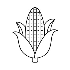 Line art drawing of an ear of corn in its husk showing the kernels