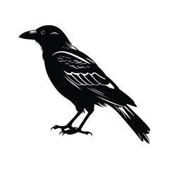 Fototapeta premium Crow minimalist silhouette design vector art