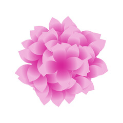 Pink Gradient Flower Petal Illustrations