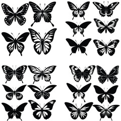 Butterfly vector silhouette Bundle set