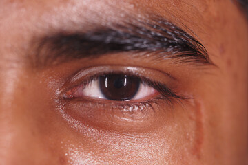 Fototapeta premium Close-up of a human eye showing intricate details and emotions