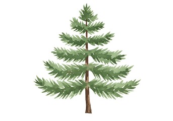 Fototapeta premium A watercolor illustration of small pine tree
