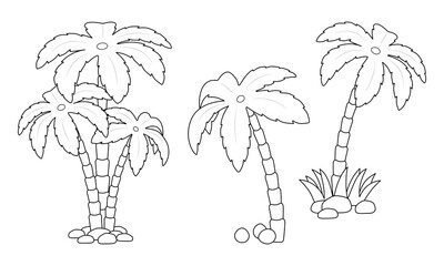 Set of palm trees. Contour palm with coconut. Coloring page with palm trees. Black and white image of tropical plants for posters, banners and promotion.
