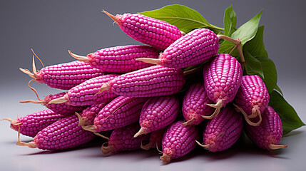 pink and yellow flower HD 8K wallpaper Stock Photographic Image