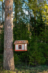 A fairy-tale, bright, beautiful birdhouse is attached to a thick pine trunk against the backdrop of a green coniferous forest.
