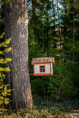 A fairy-tale, bright, beautiful birdhouse is attached to a thick pine trunk against the backdrop of a green coniferous forest.