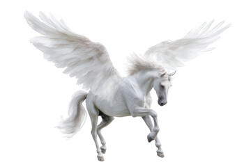 Flying Pegasus Horse with Wings Realistic Illustration Transparent Background