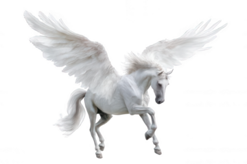 Flying Pegasus Horse with Wings Realistic Illustration Transparent Background