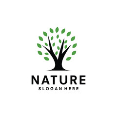 Obraz premium tree logo vector template illustration design